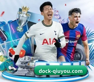 dock-qiuyou.com的方向