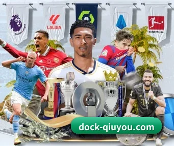 dock-qiuyou.com APP